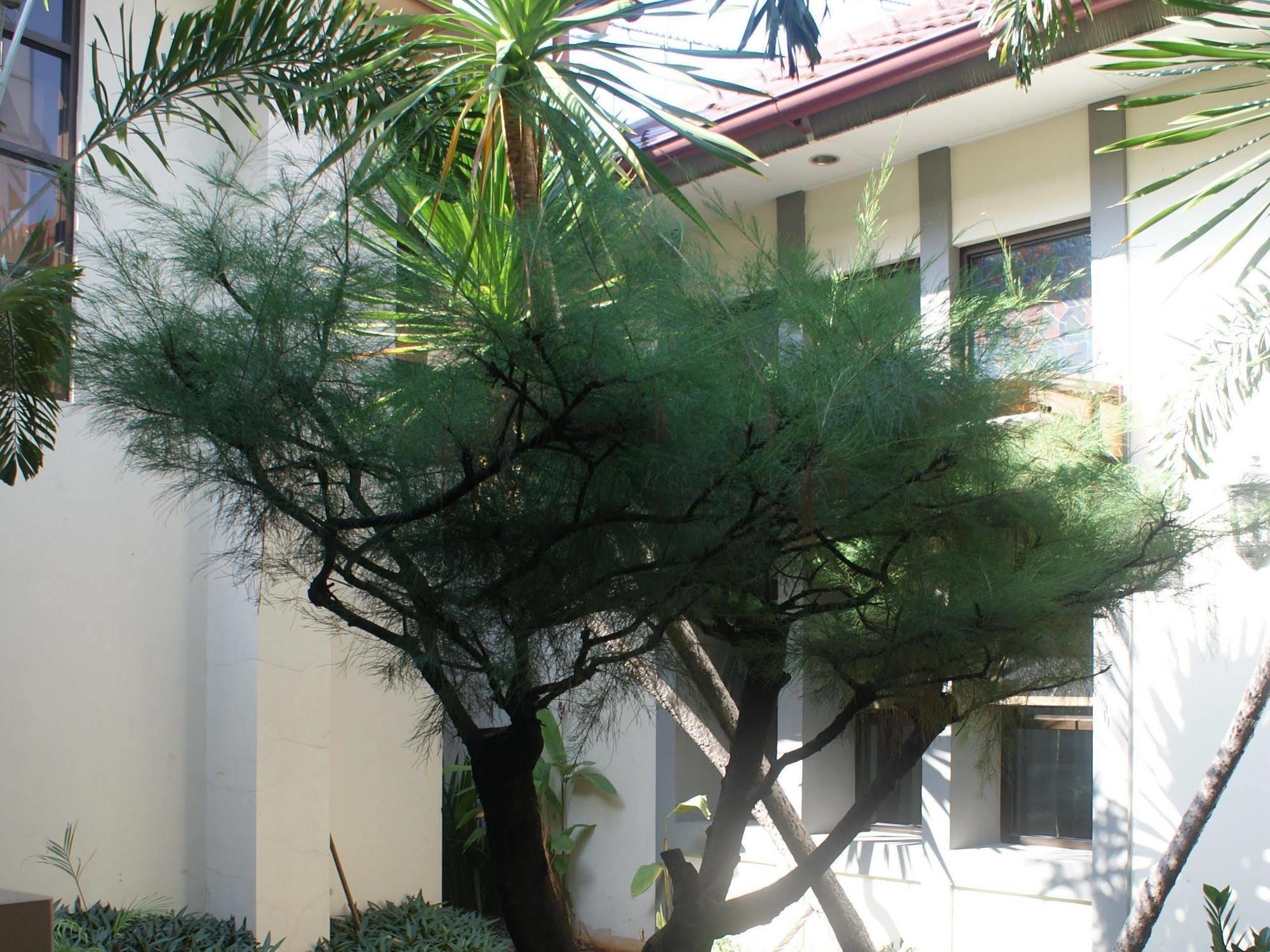 Sofyan Hotel Soepomo Jakarta Luaran gambar